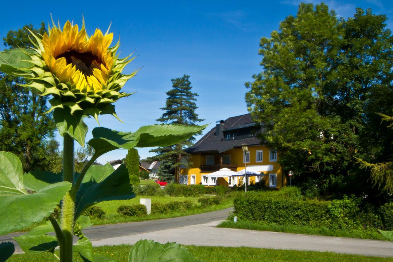 Landgasthof Zum Betenmacher ธาลเกา ภายนอก รูปภาพ